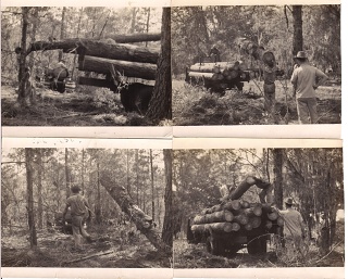 WoodsWork Thb